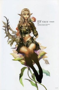 BUY NEW lineage ii - 55350 Premium Anime Print Poster