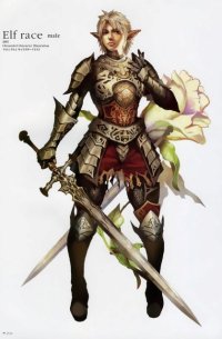 BUY NEW lineage ii - 55358 Premium Anime Print Poster