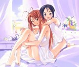 BUY NEW love hina - 17398 Premium Anime Print Poster