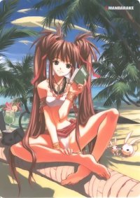 BUY NEW love hina - 49799 Premium Anime Print Poster