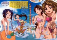 BUY NEW love hina - 5628 Premium Anime Print Poster
