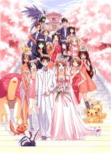 BUY NEW love hina - 61232 Premium Anime Print Poster