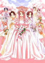 BUY NEW love hina - 61358 Premium Anime Print Poster