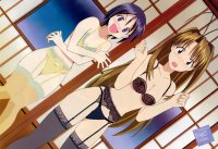 BUY NEW love hina - 62921 Premium Anime Print Poster