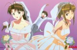 BUY NEW love hina - 84513 Premium Anime Print Poster