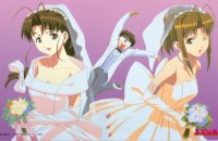 BUY NEW love hina - 84513 Premium Anime Print Poster
