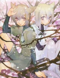 BUY NEW loveless - 131789 Premium Anime Print Poster