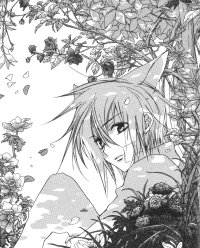 BUY NEW loveless - 188590 Premium Anime Print Poster