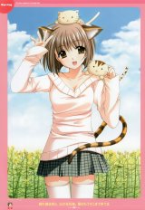 BUY NEW lovely idol - 176255 Premium Anime Print Poster