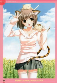 BUY NEW lovely idol - 176255 Premium Anime Print Poster