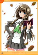 BUY NEW lovely idol - 179375 Premium Anime Print Poster