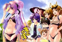 BUY NEW maburaho - 157982 Premium Anime Print Poster