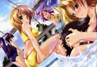BUY NEW maburaho - 174377 Premium Anime Print Poster