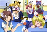 BUY NEW maburaho - 179597 Premium Anime Print Poster
