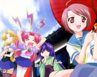 BUY NEW maburaho - 48688 Premium Anime Print Poster