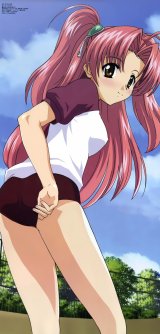 BUY NEW maburaho - 53120 Premium Anime Print Poster
