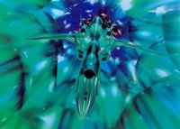 BUY NEW macross plus - 142265 Premium Anime Print Poster