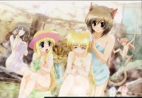 BUY NEW magical girl lyrical nanoha - 152726 Premium Anime Print Poster
