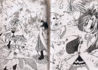 BUY NEW magical x miracle - 176875 Premium Anime Print Poster