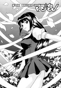 BUY NEW magikano - 176069 Premium Anime Print Poster