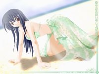 BUY NEW mahoraba heartful days - 16513 Premium Anime Print Poster