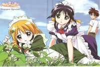 BUY NEW mahoromatic - 167211 Premium Anime Print Poster