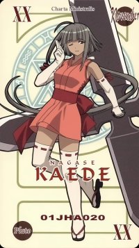 BUY NEW mahou sensei negima - 100164 Premium Anime Print Poster
