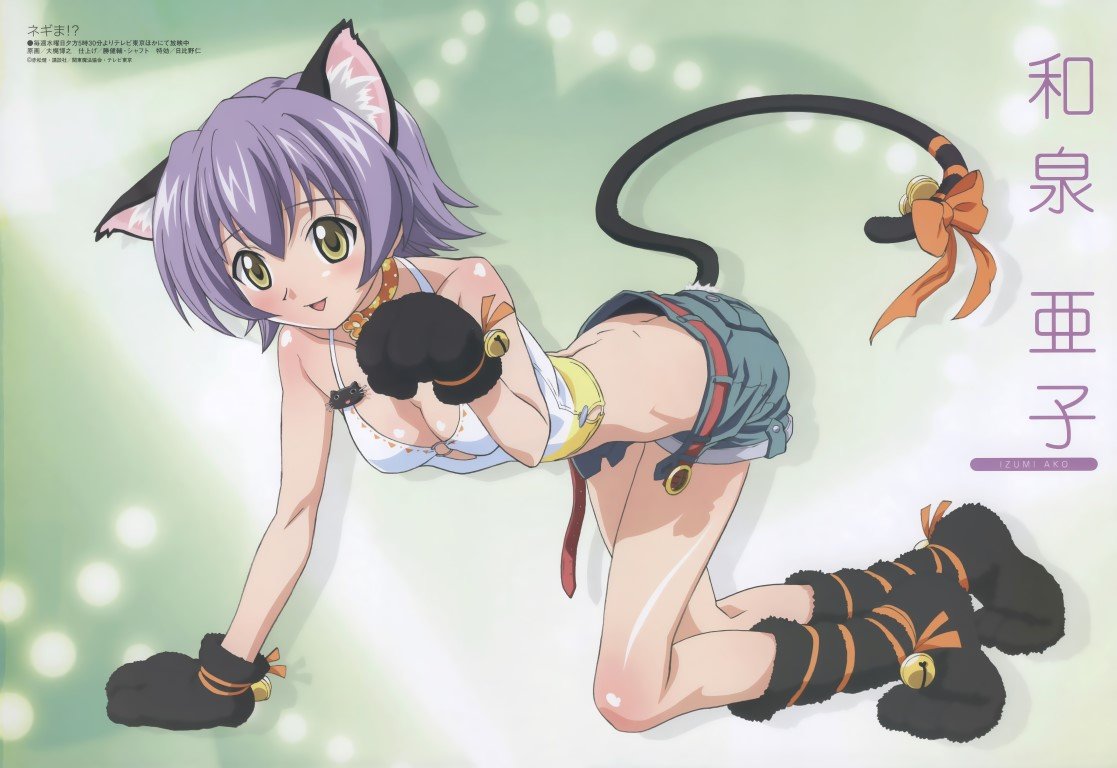 BUY NEW mahou sensei negima - 106751 Premium Anime Print Poster mahou sensei negima - 106751 image