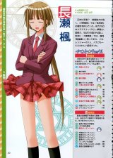 BUY NEW mahou sensei negima - 110138 Premium Anime Print Poster