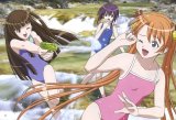 BUY NEW mahou sensei negima - 110258 Premium Anime Print Poster
