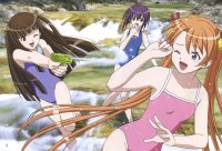 BUY NEW mahou sensei negima - 110258 Premium Anime Print Poster