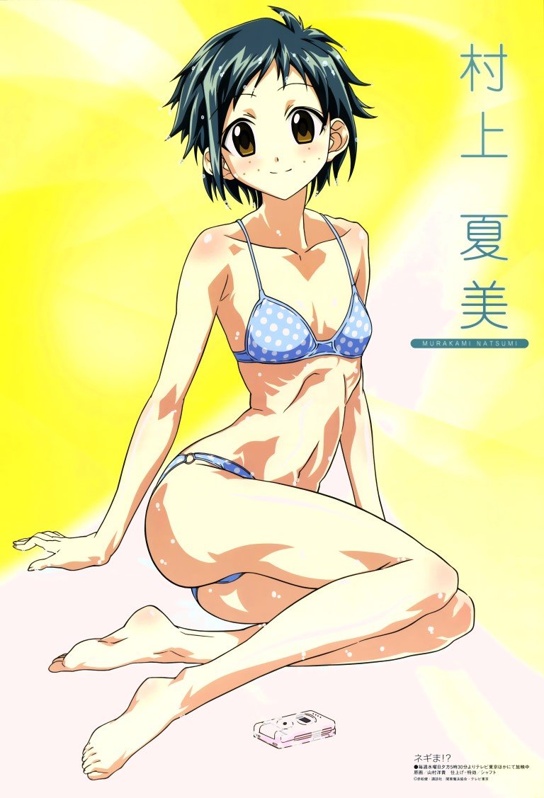 BUY NEW mahou sensei negima - 112277 Premium Anime Print Poster mahou sensei negima - 112277 image