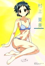 BUY NEW mahou sensei negima - 112277 Premium Anime Print Poster