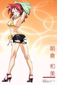 BUY NEW mahou sensei negima - 112480 Premium Anime Print Poster