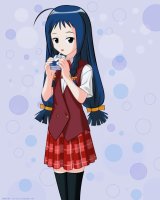 BUY NEW mahou sensei negima - 115377 Premium Anime Print Poster