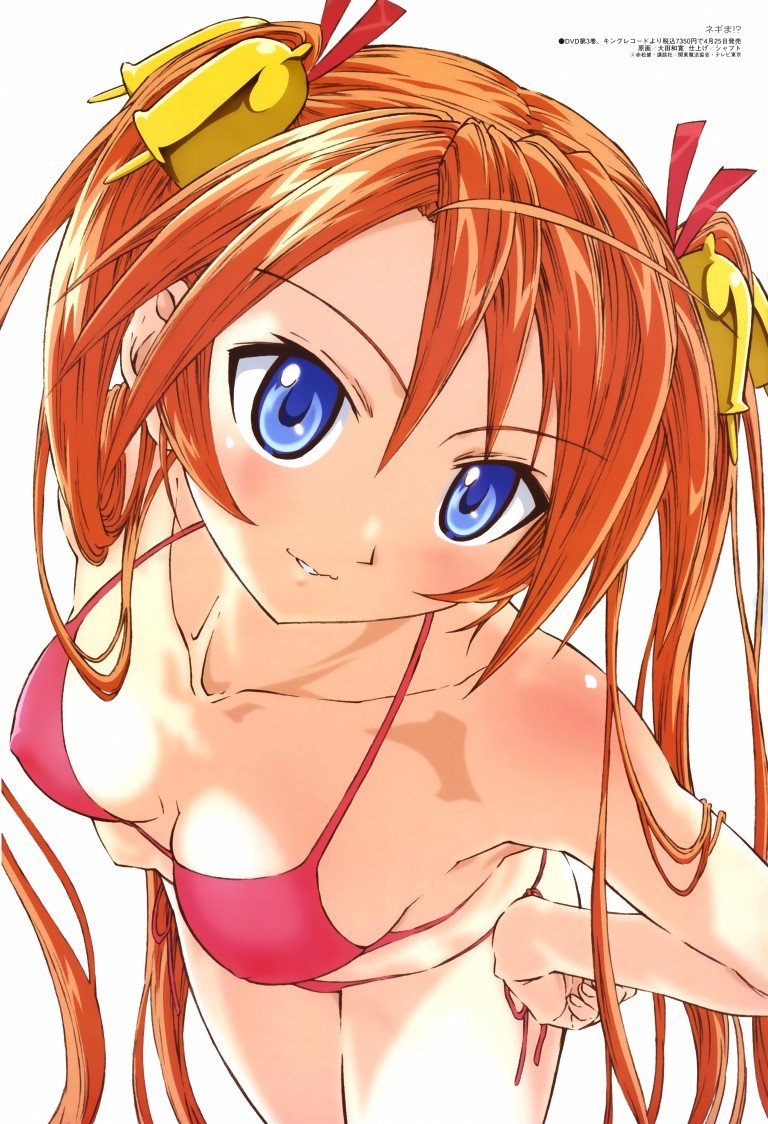 BUY NEW mahou sensei negima - 117628 Premium Anime Print Poster mahou sensei negima - 117628 image