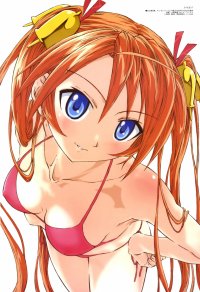 BUY NEW mahou sensei negima - 117628 Premium Anime Print Poster