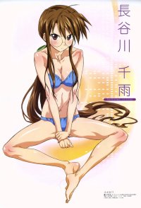 BUY NEW mahou sensei negima - 118025 Premium Anime Print Poster