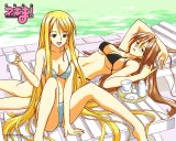 BUY NEW mahou sensei negima - 121358 Premium Anime Print Poster