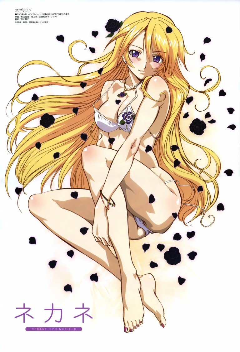 BUY NEW mahou sensei negima - 123464 Premium Anime Print Poster mahou sensei negima - 123464 image