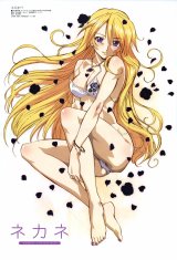 BUY NEW mahou sensei negima - 123464 Premium Anime Print Poster