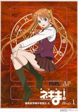 BUY NEW mahou sensei negima - 15875 Premium Anime Print Poster