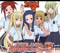 BUY NEW mahou sensei negima - 16782 Premium Anime Print Poster