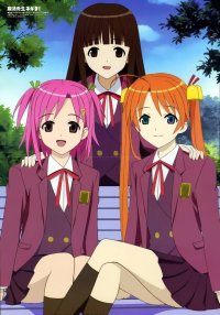 BUY NEW mahou sensei negima - 2204 Premium Anime Print Poster