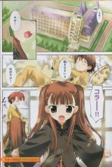 BUY NEW mahou sensei negima - 92083 Premium Anime Print Poster