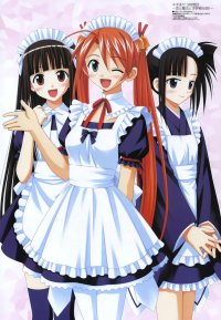 BUY NEW mahou sensei negima - 93763 Premium Anime Print Poster