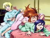BUY NEW mai otome - 95431 Premium Anime Print Poster