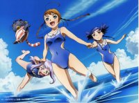 BUY NEW mai otome - 97856 Premium Anime Print Poster