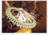 BUY NEW maki hakoda - 183960 Premium Anime Print Poster