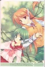 BUY NEW mako tatekawa - 144933 Premium Anime Print Poster